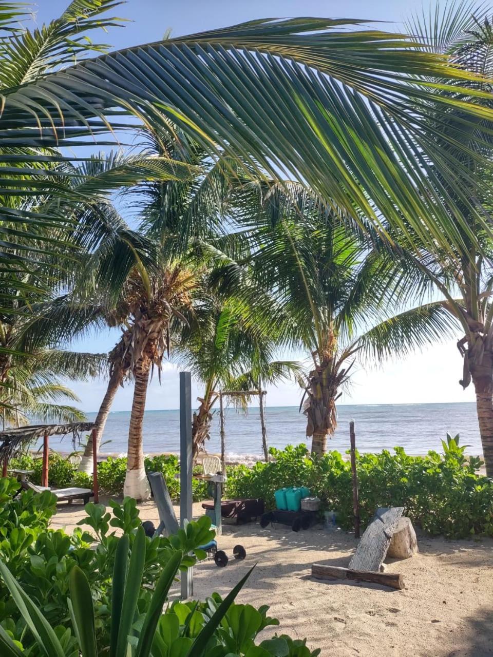 Lunazul Eco-Cabana Frente Al Mar Mahahual Zewnętrze zdjęcie