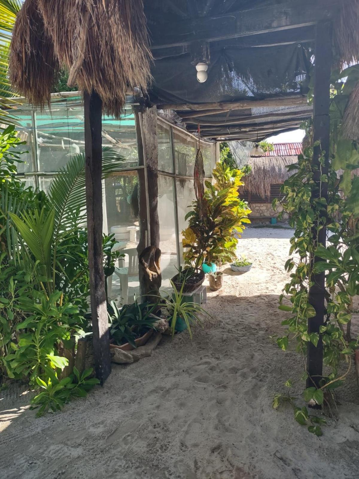 Lunazul Eco-Cabana Frente Al Mar Mahahual Zewnętrze zdjęcie